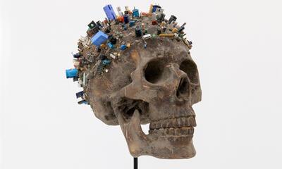 The Last Human (skull)