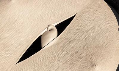 Soil Mate De metamorfosen van Clara Spilliaert