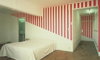 Daniel Buren, Le Décor et son Double