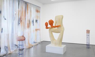 Een sluier van zwaarte - Anton Cotteleer
