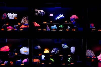 Mineralen