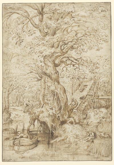 Pieter Bruegel I, Hengelaar aan een beek onder een grote boom, ca. 1554, tekening in pen en bruine inkt