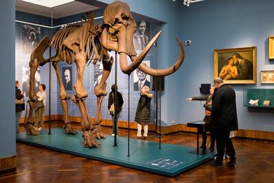 Een levensgrote 3D-print van de mammoet die in 1860 in Lier werd ontdekt, mocht niet ontbreken in het nieuwe stadsmuseum