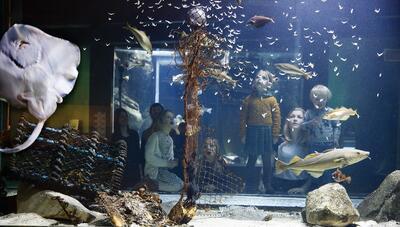 De onderwaterwereld met de Noordzeeaquariums in het nNationaal Visserijmuseum Navigo. 