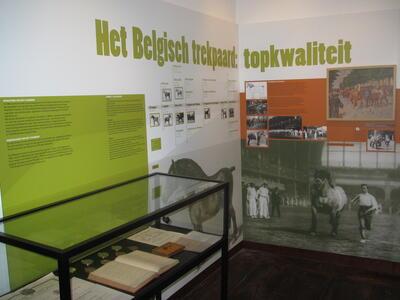 Museum van het Belgisch trekpaard