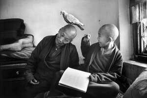 Tulku Khentral Lodro Rabsel, aged 12, with his Lhaguel tutor, Shechen monastry, Badnath, Nepal, 1966.