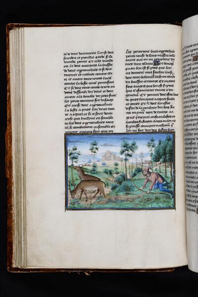 Henri de Ferrières, Les Livres du roy Modus et de la royne Ratio Brussel, 1450-1467 KBR – ms. 10218-19, fol. 46v