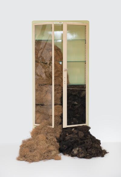 Marianne Berenhaut, L’armoire, 2002, oude kast met dierlijk en ‘plantaardig’ haar, 180 x 81 x 47 cm COLLECTIE NATIONALE BANK VAN BELGIË