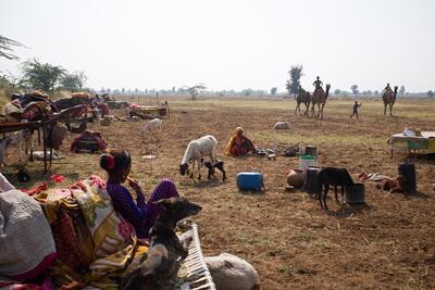 Sander Buyck, Cobra Gypsies, Rajasthan, 2018