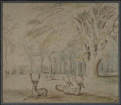 Jan Brueghel, Herten, tekening COLLECTIE JEAN BONNA, GENÈVE, FOTO: PATRICK GOETELEN