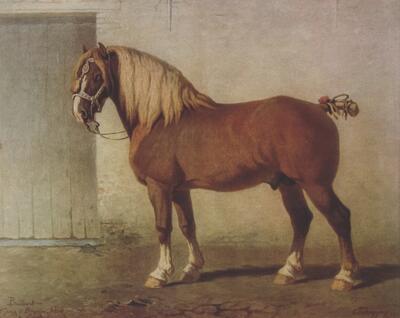 Philogène Charles Tschaggeny, De hengst Brillant, olieverfschilderij, 1880 COLLECTIE MUSEUM VAN HET BELGISCH TREKPAARD, VOLLEZELE