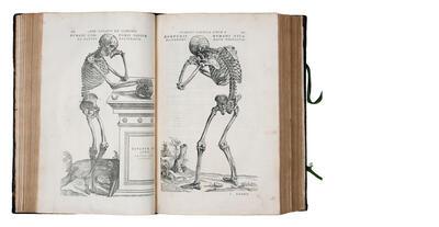 Andreas Vesalius, De humani corporis fabrica libri septem, uitgegeven door Joannes Oporinus, Bazel, 1555