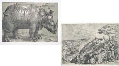neushoorn + woestijn