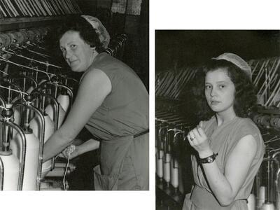 Werkneemsters UCO Desmet-Guequier, jaren 1960-70 COLLECTIE INDUSTRIEMUSEUM