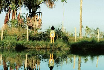 Joke Raes, Amazon Slumbers, 2012