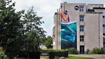 Smates, 2015, Hasselt, Elfde-Liniestraat, initiatief van Street Art Festival