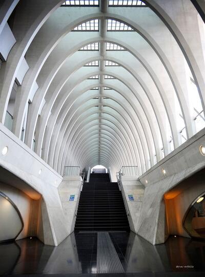 Station Guillemins Luik