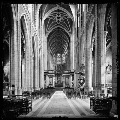 collectie, Theodor von Lüpke,  Sint-Baafskathedraal, Gent, zilvergelatine op glas