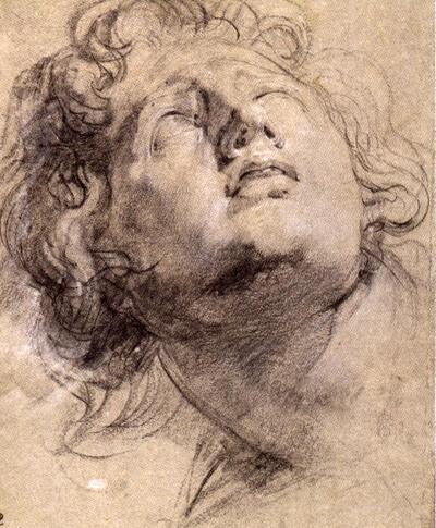 Peter-Paul Rubens, Kopstudie van een omhoogkijkende jongeling, houtskool en wit krijt op grijs papier, hermitage
