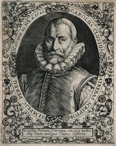 Portret van Carolus Clusius in: Jean Jacques Boissard, Icones quinquaginta virorum illustrium doctrina et eruditione praesantium, Officina Bryana, Frankfurt, 1598