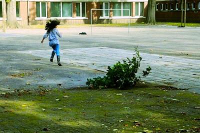 Jan Marechal, Drive My Bush, 2012, performance