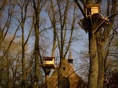 Tadashi Kawamata, boomhutten in het Begijnhof, Beaufort, Triënnale Brugge