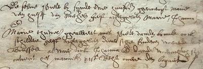 Bruegel, het manuscript Coucke omtrent het manneken pist