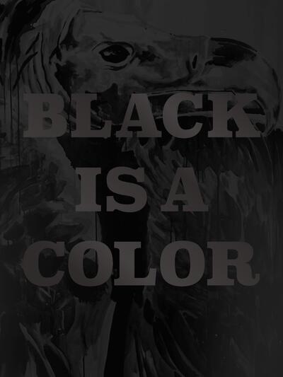Cover Black is a color, David Huycke,