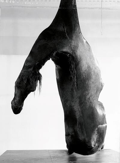 Berllnde De Bruyckere, Lost I, 2006 