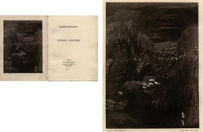 George Minne, frontispice bij 'Serres chaudes' van Maurice Maeterlinck, MSK Gent,