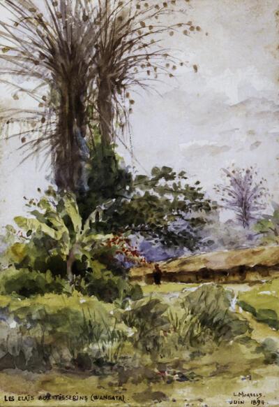 Louis Moreels, Les élaïs aux tisserins. Wangata, 1864, koloniale kunst,