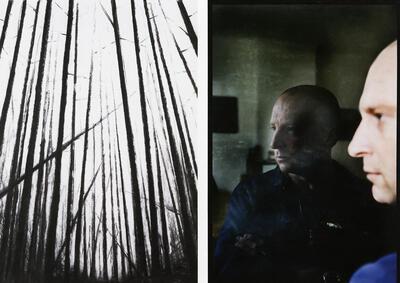 Woods, 2007, houtskool op papier, Yves Beaumont,