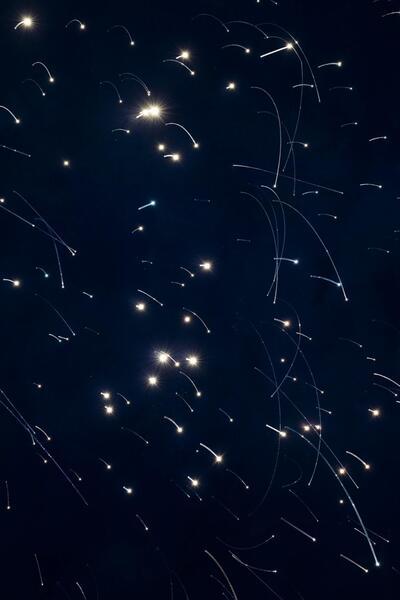 Cosmos