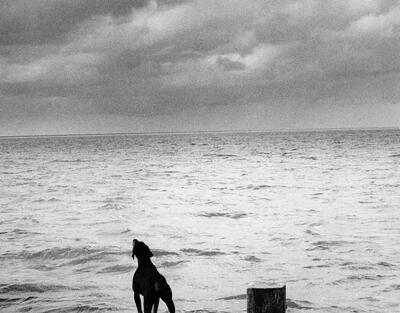 Michel Vanden Eeckhoudt. Ile Maurice, 1989. 