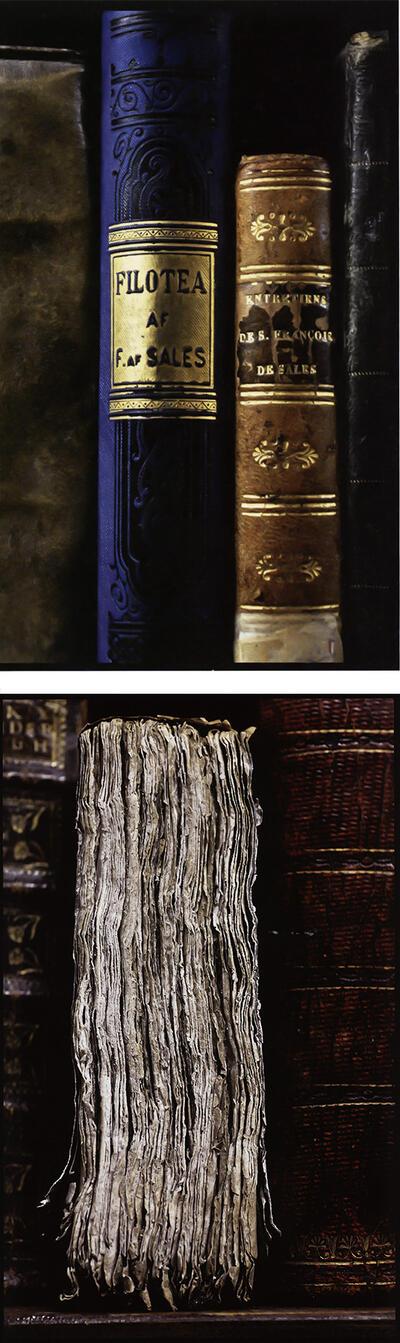 Erfgoedbibliotheken in Vlaanderen