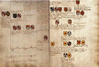 Afstamming van de familie de Bryarde uit de familie van den Bampoele, die in 1549 het leengoed in Wulveringem kocht