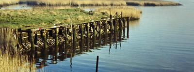 Vijftig jaar bouwkundige realisaties Waaslandhaven, Toegangsgeul