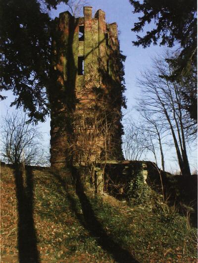 Torenruïne in het park van kasteel Gorsleeuw, Gors-Opleeuw,