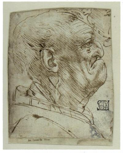 Leonardo da Vinci, Hoofd van een oude man, BOZAR