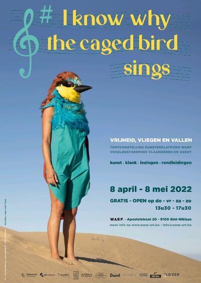 I know why the caged bird sings