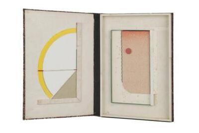 Camiel Van Breedam, Journal pour rire, 2017