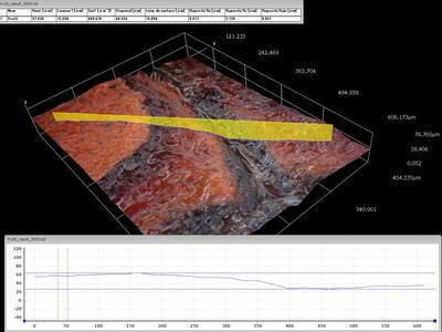 3 D-beeld en profiel van de overschildering van Joos Vijds rode gewaad, Lam Gods,