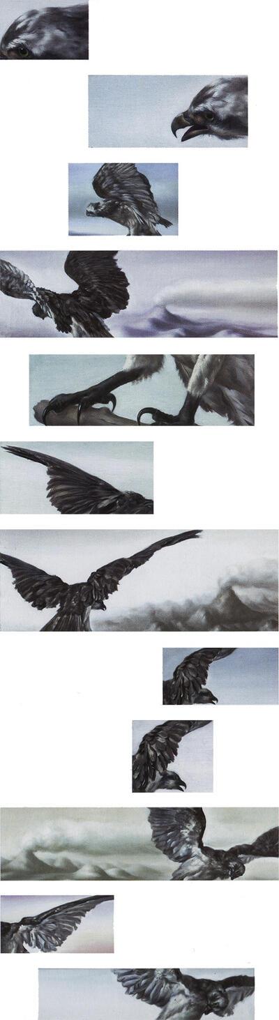Robert Devriendt, Sans aigle, sans paysage, 2004, olieverf op doek, 12 schilderijen, schilderkunst,