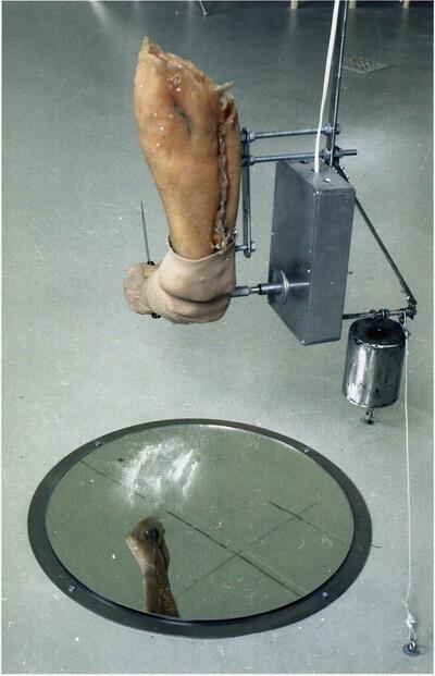 Een kunstmatige hand krast met een mes in een spiegel, Stefan Serneels, Narcissus, 2002, Mixed media, Box, placenta,