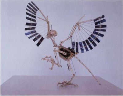 Panamarenko, Archeopterix Blauw