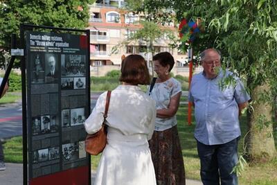 Anthropoid