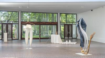 Installation View Wet Job by Camille Henrot (Braem Pavilion), 2022 