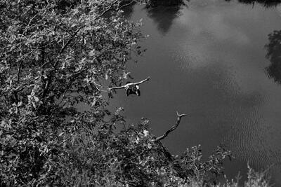 Within the Bubble of Surroundings, 2016 – ongoing