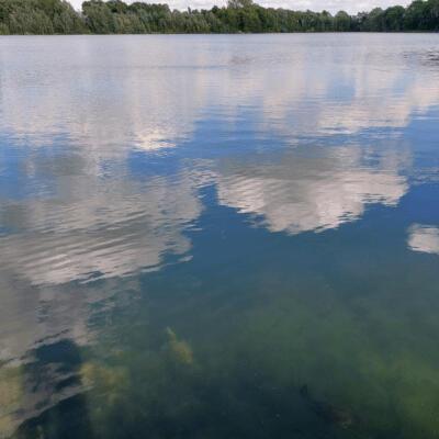 Jaarlijkse tentoonstelling Koninklijke Kunstkring Lucasgezellen 