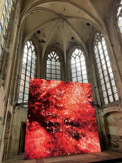 David Claerbout; Wildfire (Meditation on fire); De status van onze planeet